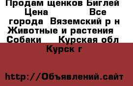 Продам щенков Биглей › Цена ­ 15 000 - Все города, Вяземский р-н Животные и растения » Собаки   . Курская обл.,Курск г.